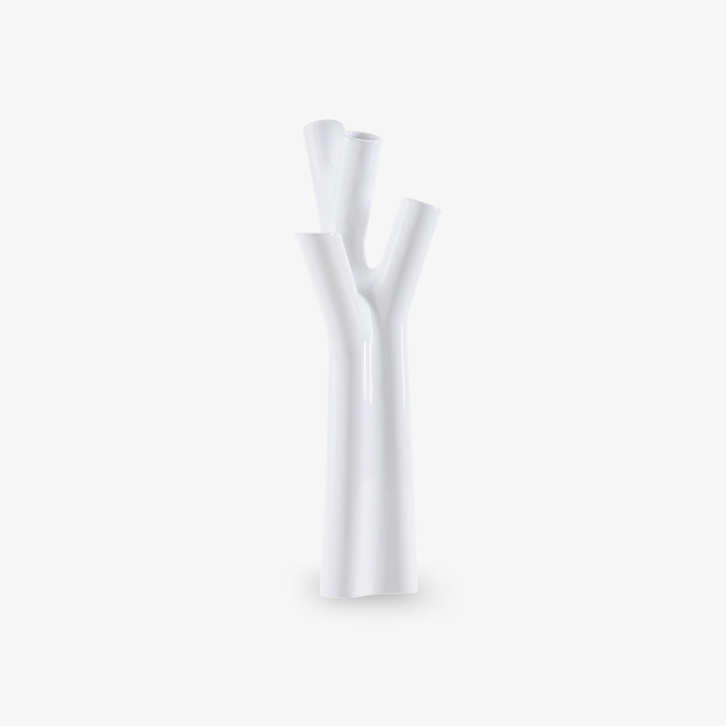 Vaza LIGNE ROSET, Roseau S
